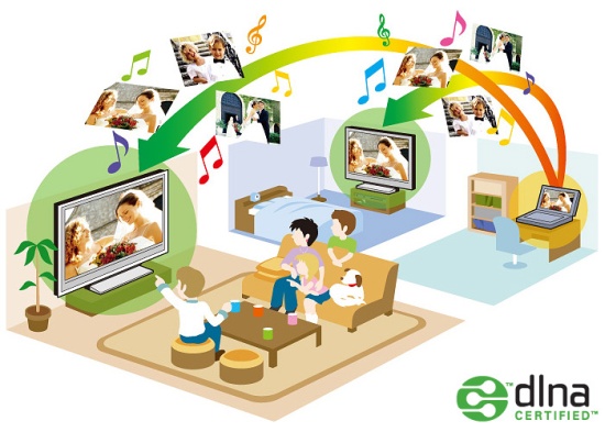 dlna-scheme.jpg