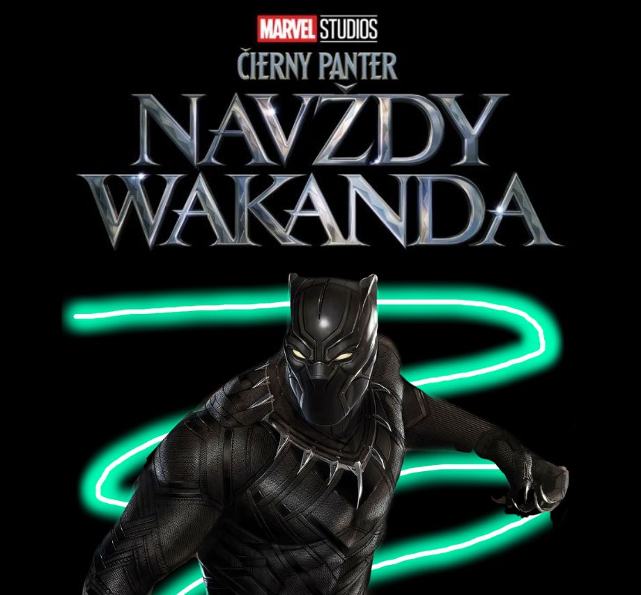 black panther wakanda ikona 87956