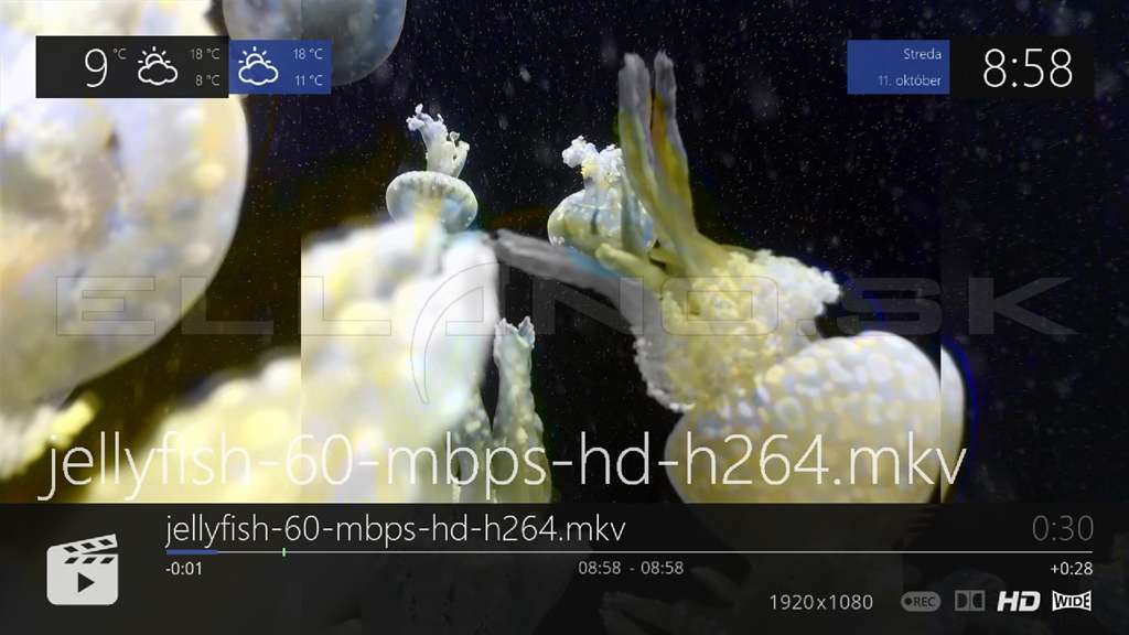 h 264