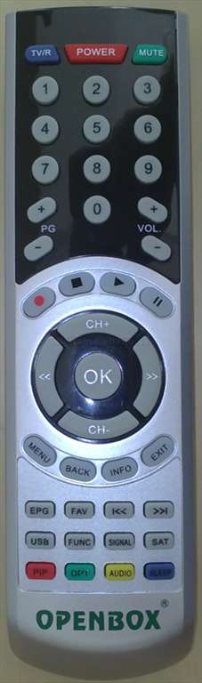 10022011874