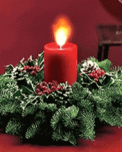 sviecka2.gif