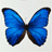 seven-ov Avatar