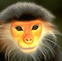 JIKARU-ov Avatar