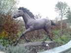 Ferro73-ov Avatar